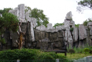 广州动物园猩猩馆假山景观